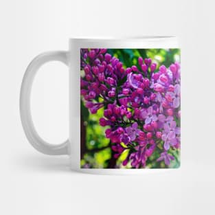 Lilacs Mug